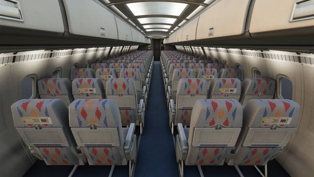 146 Professional (MSFS)