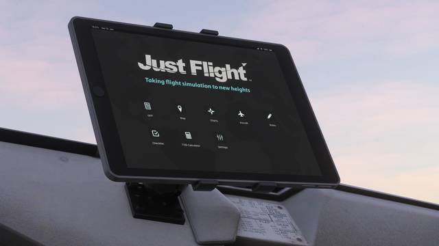 146 Professional (MSFS)