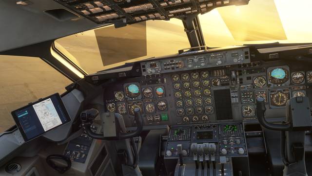 146 Professional (MSFS)