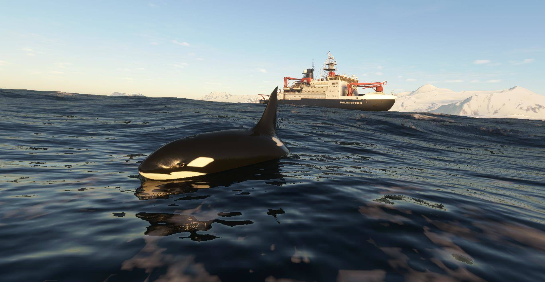 Aerosoft Antarctica Vol. 1 - British Rothera and Beyond