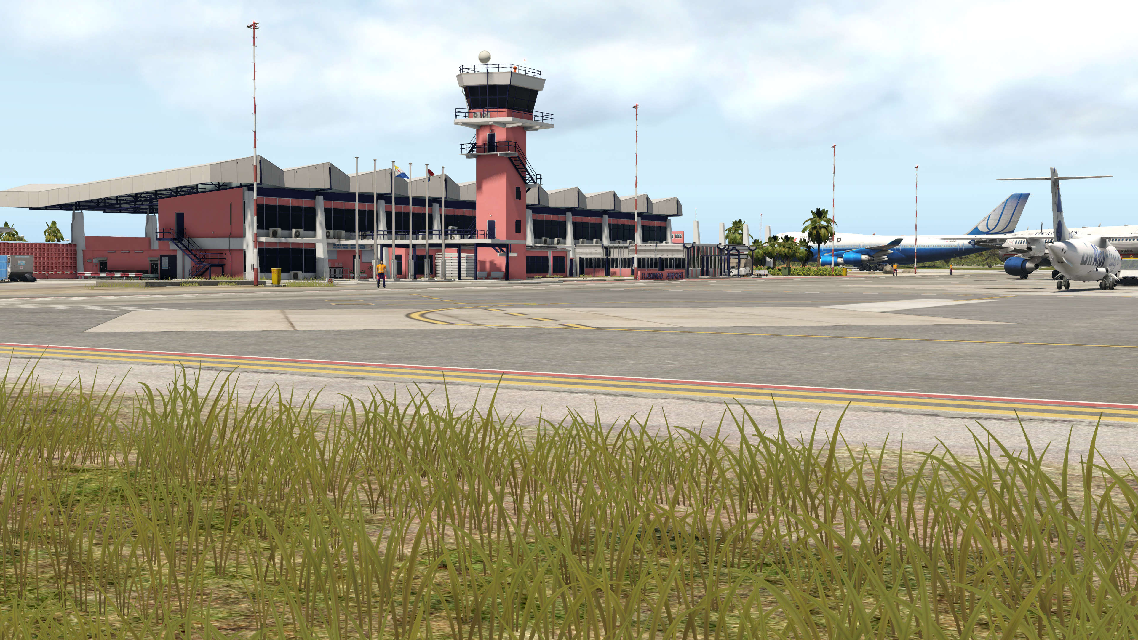 Just Flight Airport Bonaire Flamingo XP