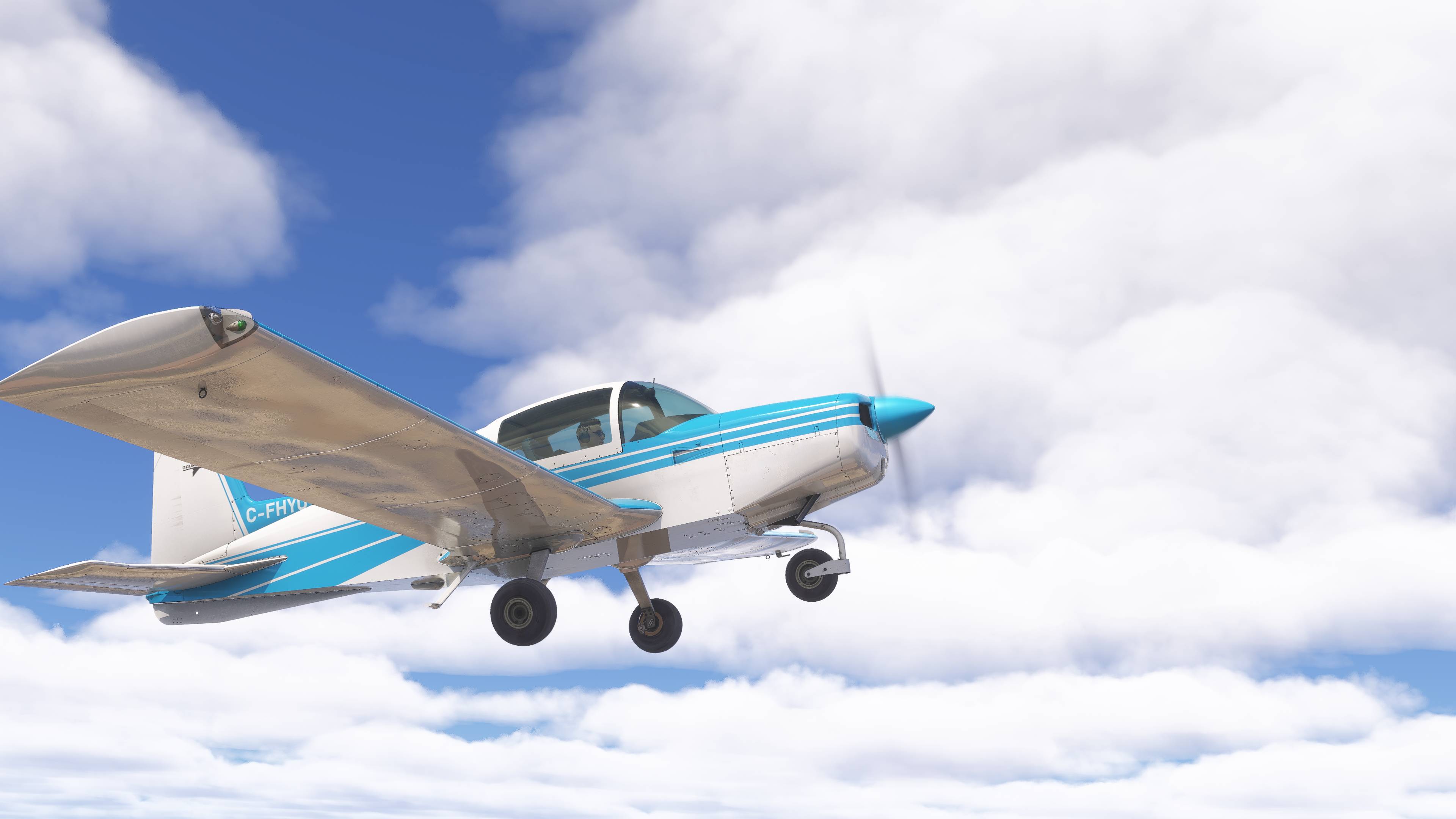 Grumman AA-5 - Painel VFR