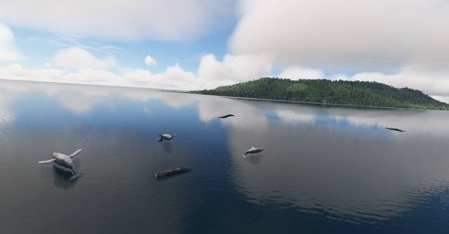 FLYNDRIVE4D Tahiti South Pack