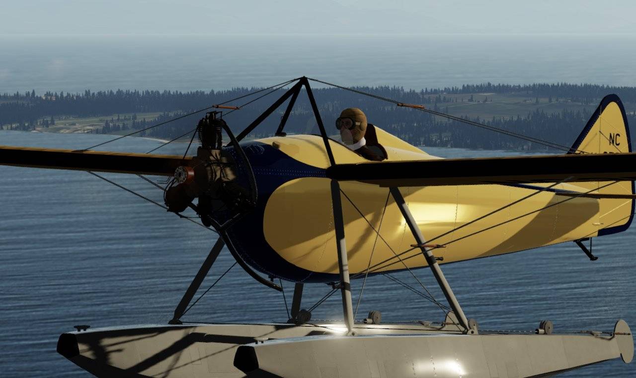 Just Flight Golden Age Simulations Buhl LA1 Bull Pup