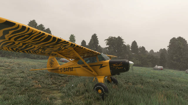 Lionheart Creations Pacer 180