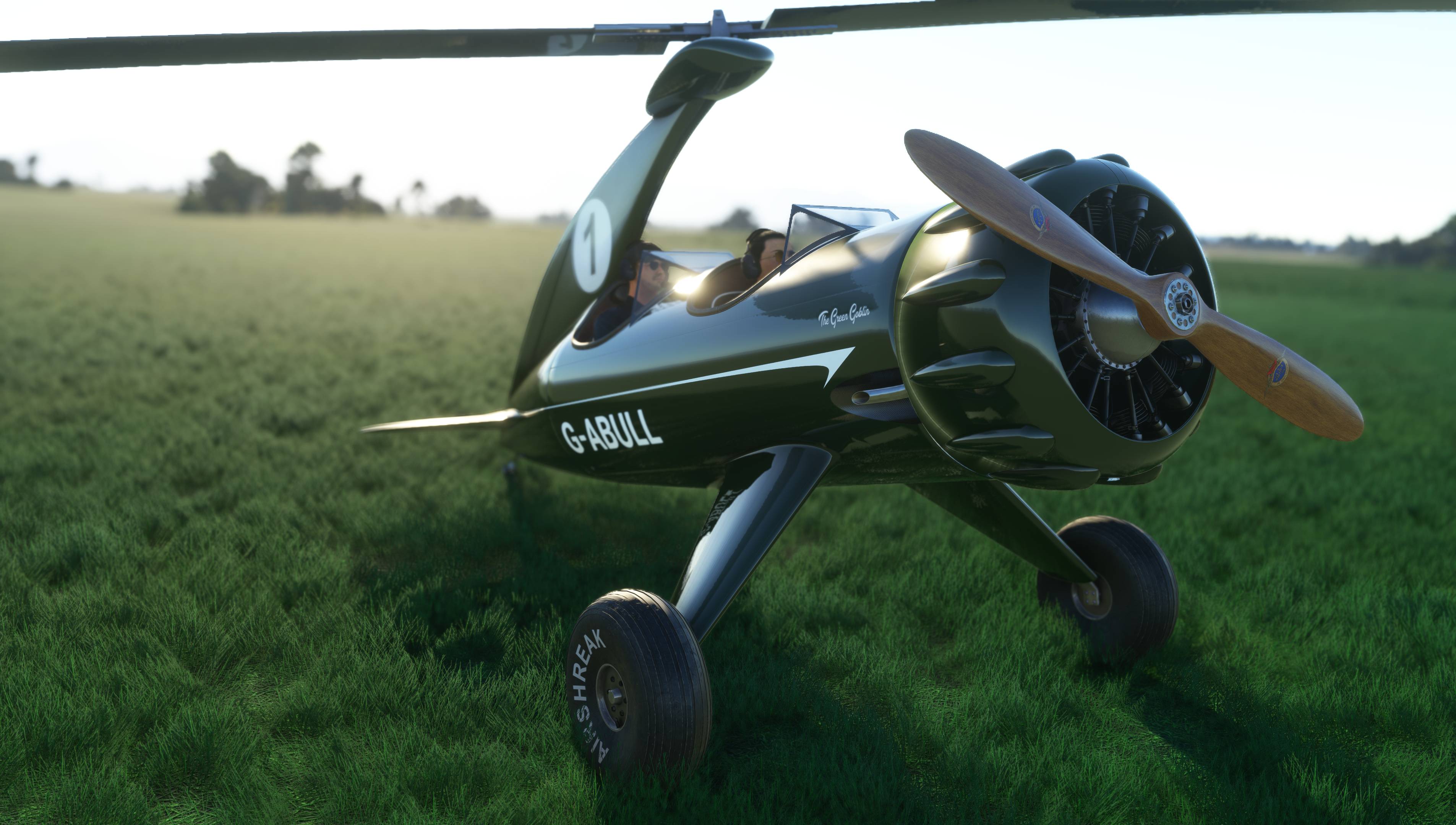 Rara-Avis Sim Bulldog Autogyro