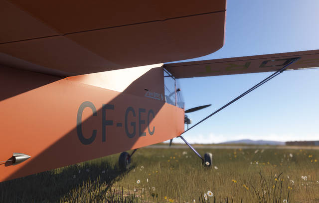 Rara-Avis Sim Zippy Sport 2024