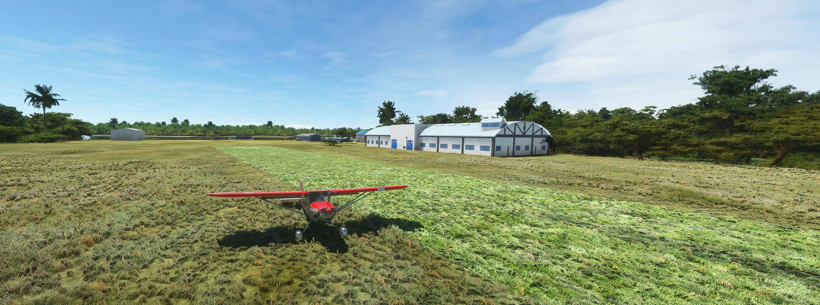 RCS Bush Airstrips Chapter 4 - South Pacific