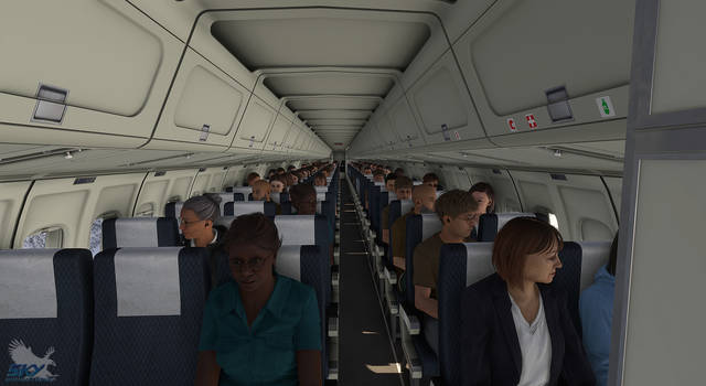 Sky Simulations McDonnell Douglas DC-9 Series 21, 41, 51 (MSFS)