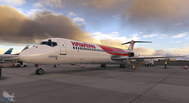Sky Simulations McDonnell Douglas DC-9 Series 21, 41, 51 (MSFS)