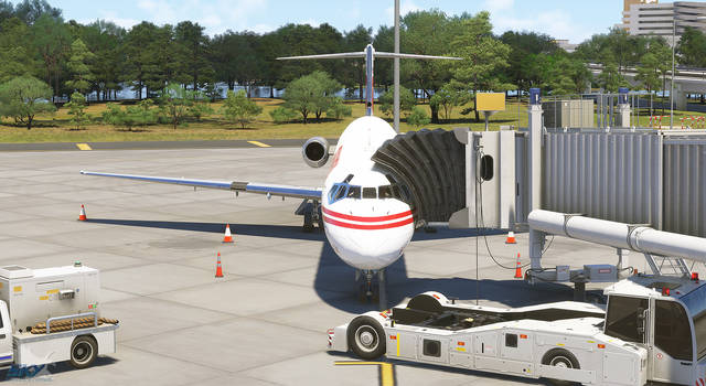 Sky Simulations McDonnell Douglas DC-9 Series 21, 41, 51 (MSFS)
