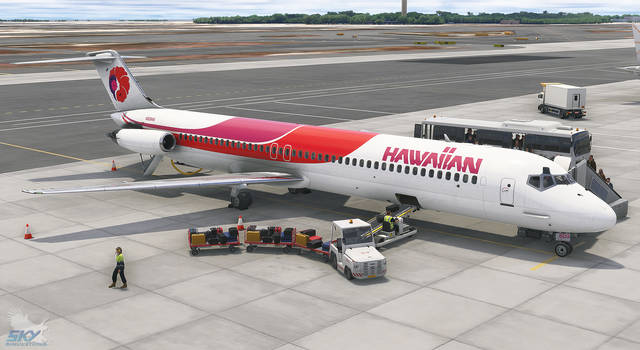 Sky Simulations McDonnell Douglas DC-9 Series 21, 41, 51 (MSFS)