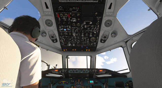 Sky Simulations McDonnell Douglas DC-9 Series 21, 41, 51 (MSFS)